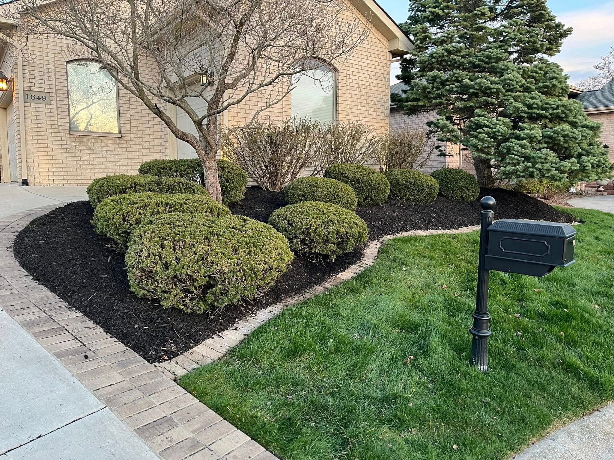 Bush, Hedge & Tree Trimming