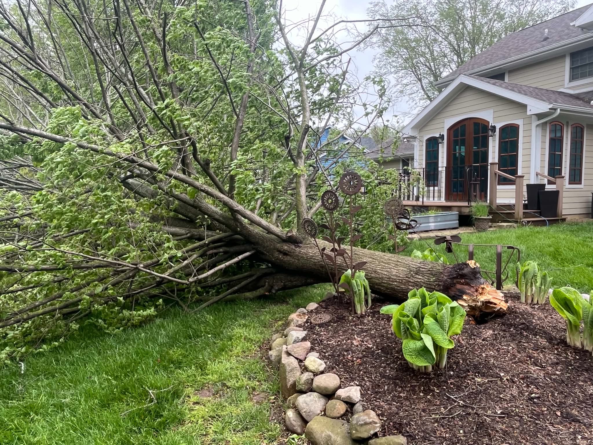 Storm tree cleanup