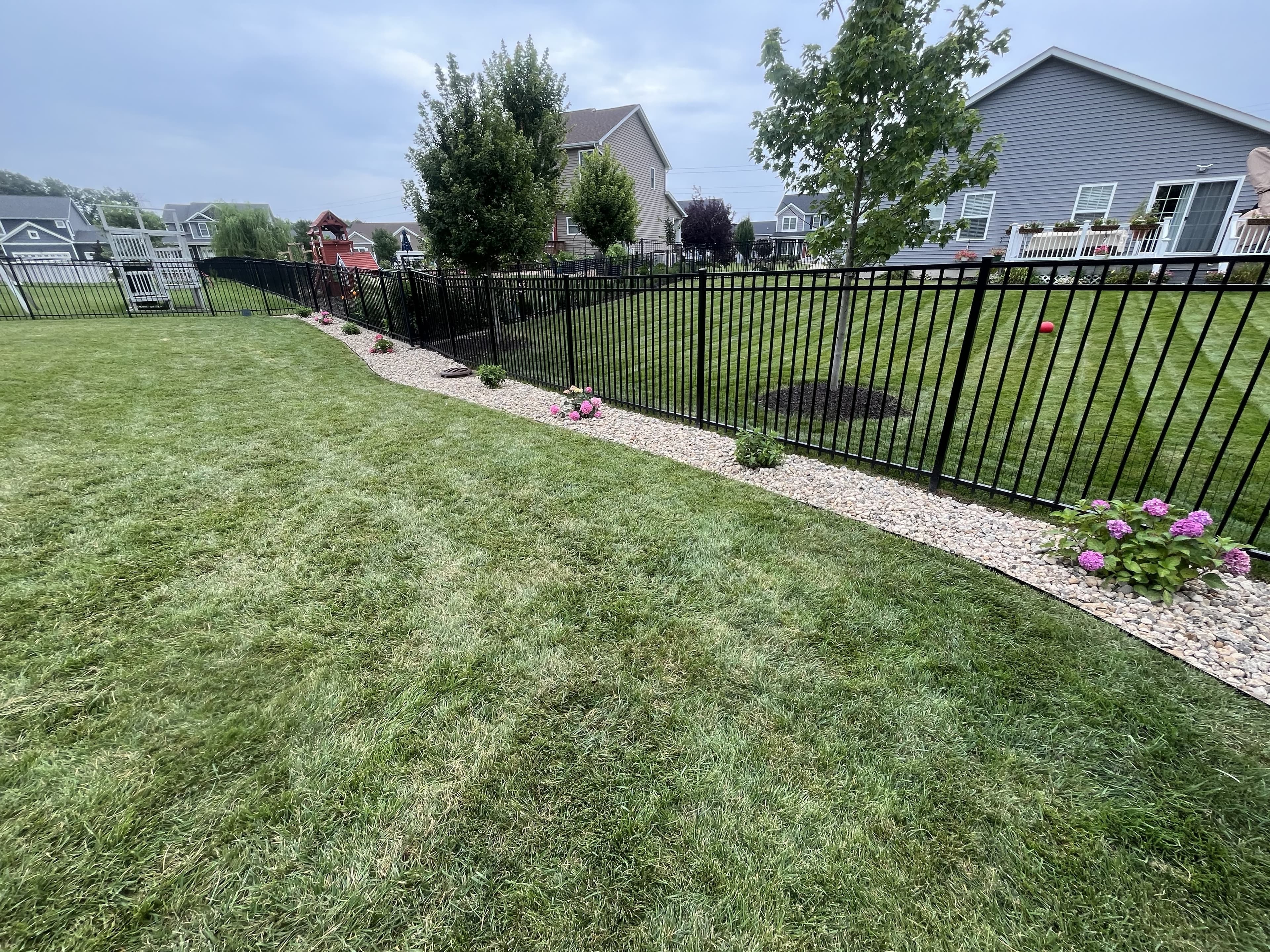 Fresh-striped lawn with rock border & hydrangeas
